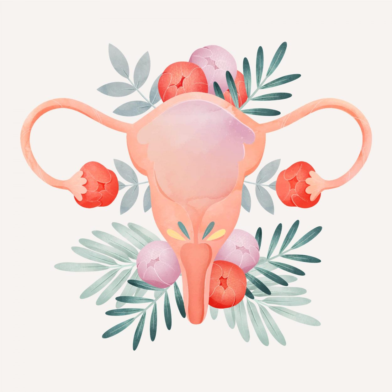 a illustration of the female reproductive organs in an abstract, floral way.