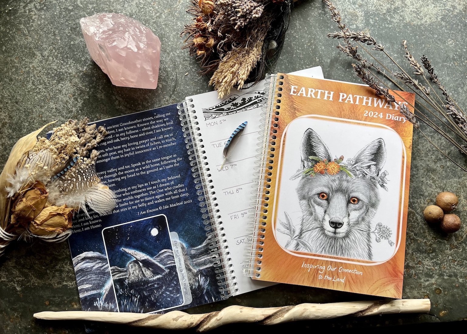 Two copies of the 2024 Earth Pathways Diary showing the front cover with an illustration of a fox and an open page with the diary layout and a painting of Mulfra Quoit by Emma Cox. The diaries are on a slate background surrounded by dried flowers, a pink quartz crystal, gall oaks and a wooden wand.