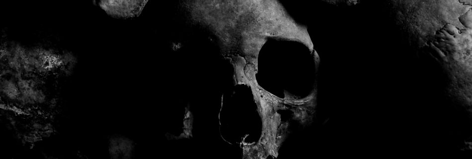 black and white image of a skull