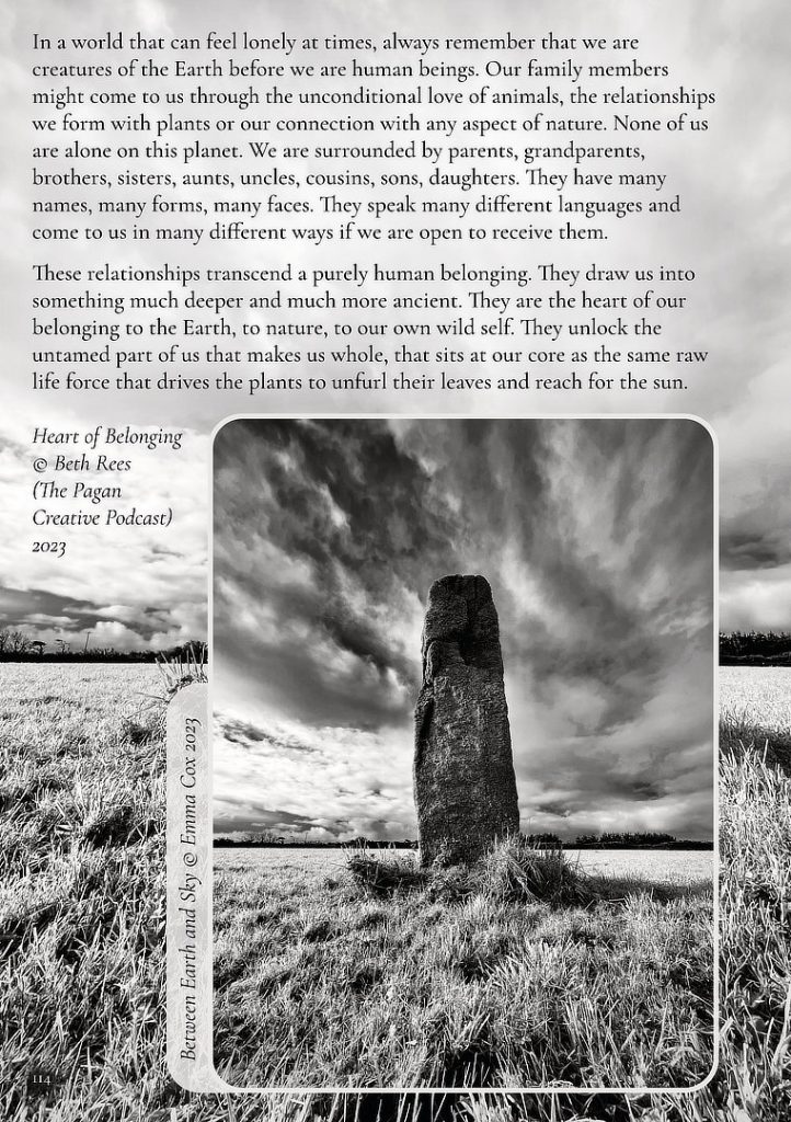 An image of page 114 from the Earth Pathways 2025 Diary showing a black and white photograph for a standing stone in a field under a moody sky taken by Emma Cox. The photograph is accompanied by text.