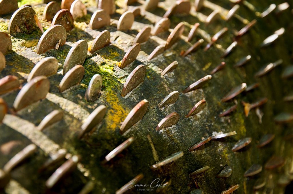 A close up of a wind-felled tree trunk covered coins which have been hammered into the bark. 