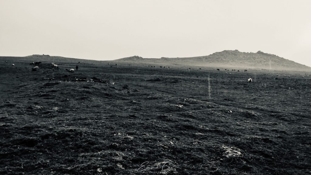 Black and white photograph of Bodmin Moor in the rain with Rough Tor in the distance.