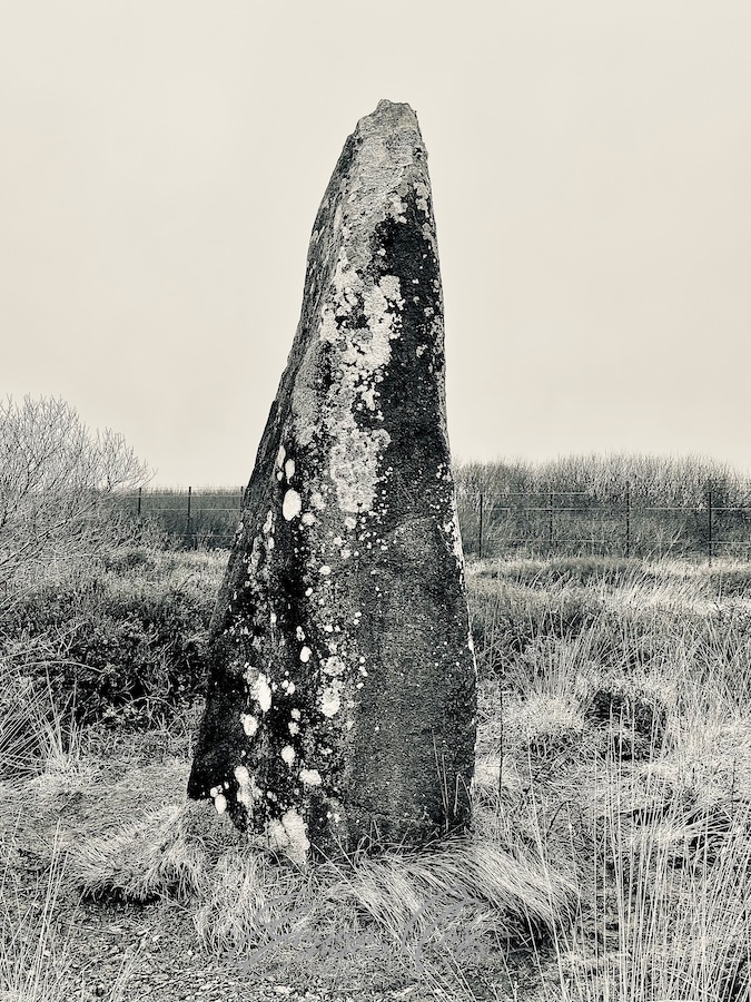 A black and white photograph of the Dry Tree menhir. Profile view 1.