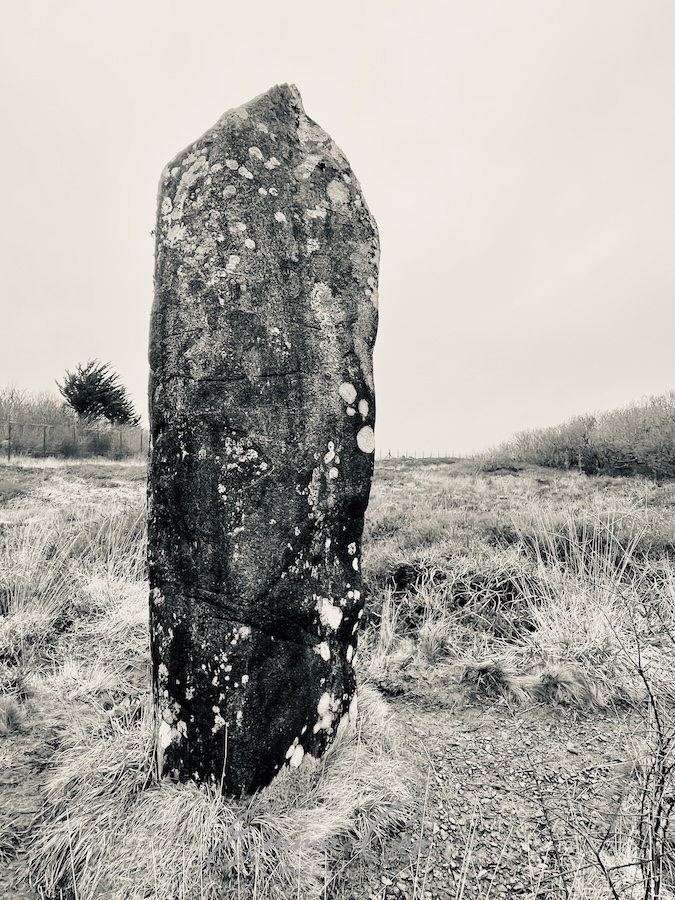 A black and white photograph of the Dry Tree menhir. Profile view 2.