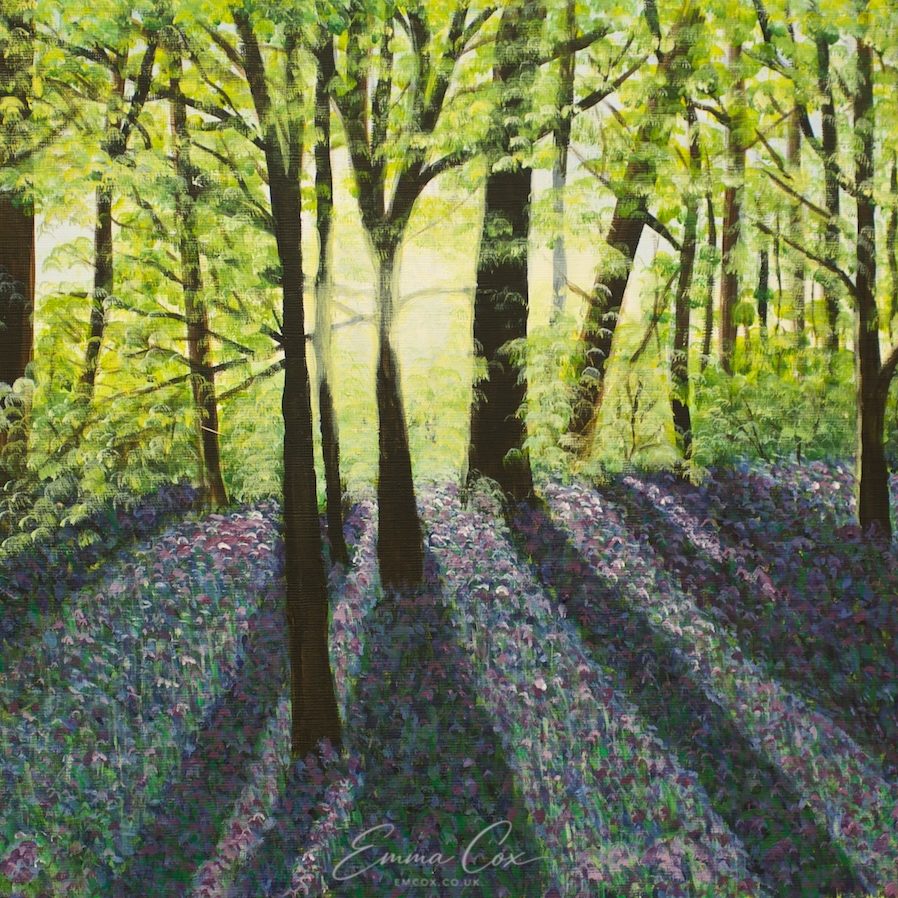 An acrylic painting of a Cornish beech woodland carpeted by bluebells. The low spring sun streams through the trees, casting long shadows on the ground.