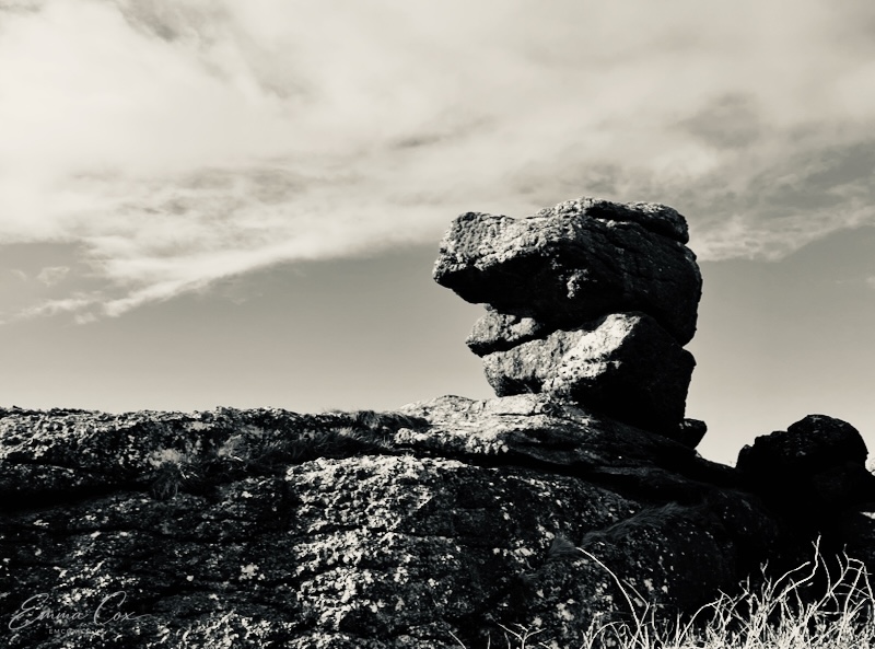 a natural rock outcrop which looks like a human head/face