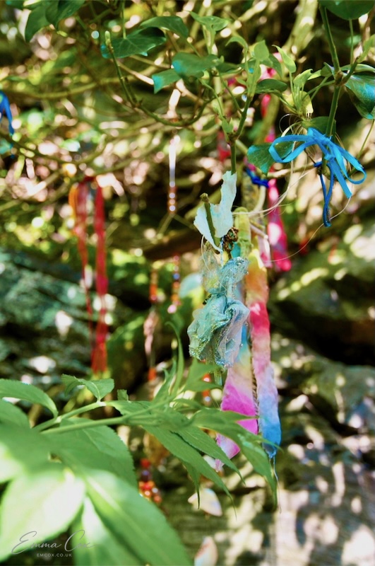 clouties (ribbons) tied in a hawthorn tree