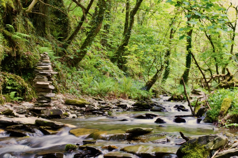 a rock stack beside a stream in woodland