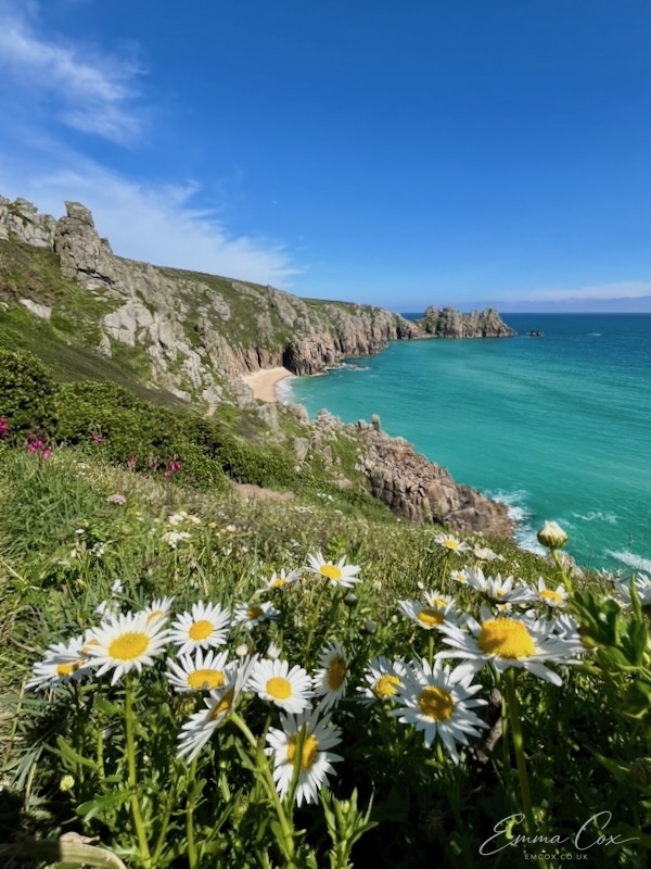 granite cliffs strewn with greenery and daisy-like flowers
